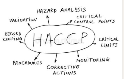 1667542816852655.png image.png