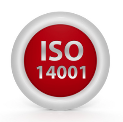 1687155964345419.png image.png